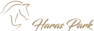 Asset 2